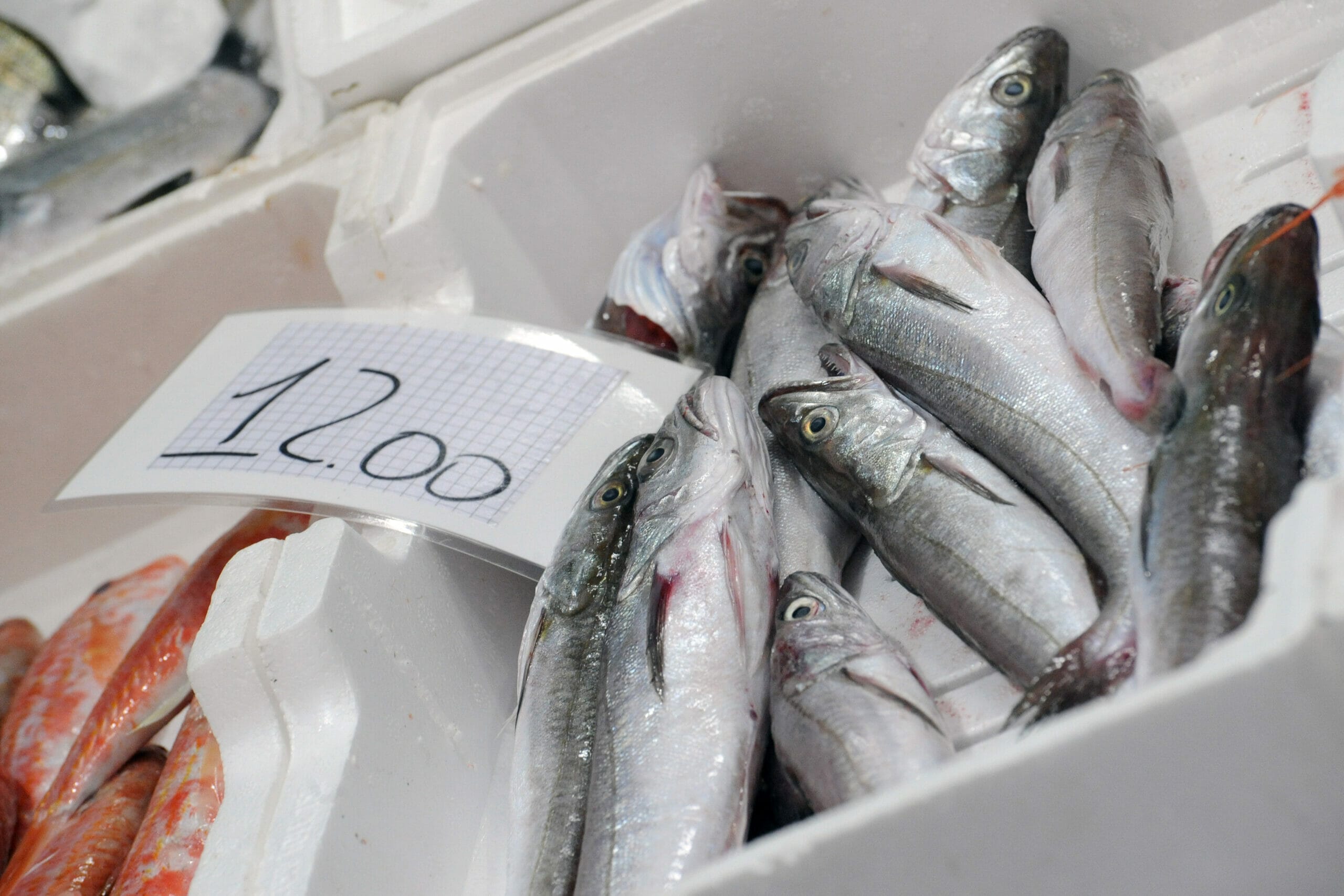 Cucinare il pesce con pochi soldi-Foto da imagoeconomica