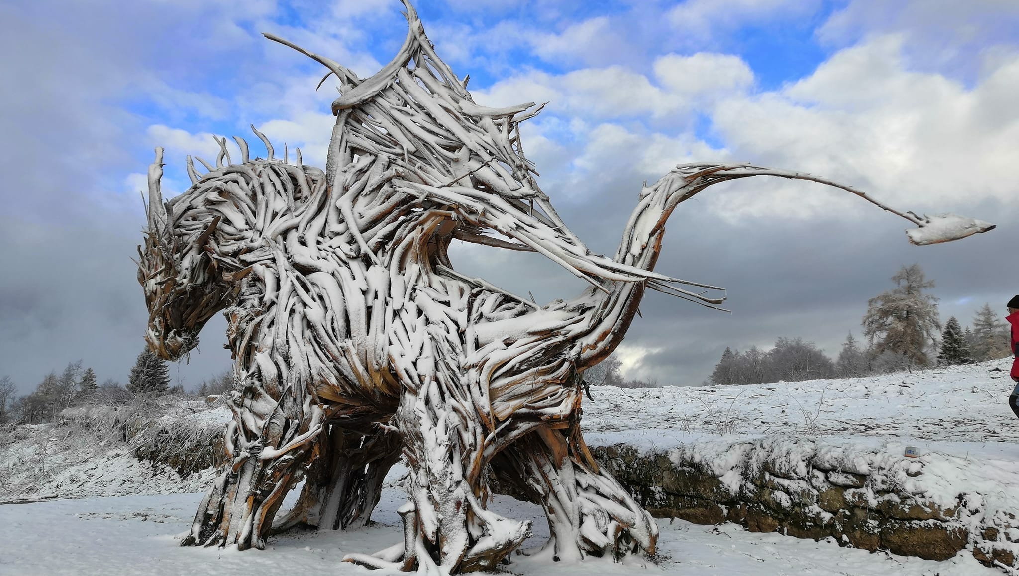 Drago Vaia-Foto da facebook