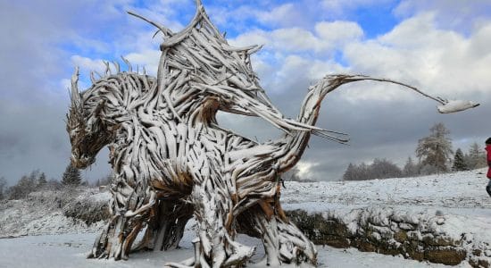 Drago Vaia-Foto da facebook