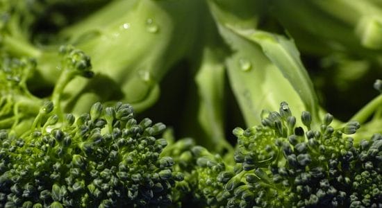 2 ricette sfiziose con i broccoli-Foto da pixabay.com