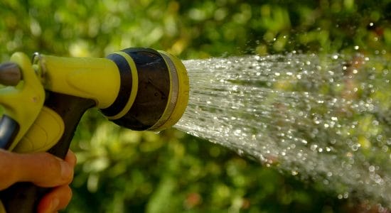 I migliori sistemi d’irrigazione per il giardino-Foto da pixabay.com