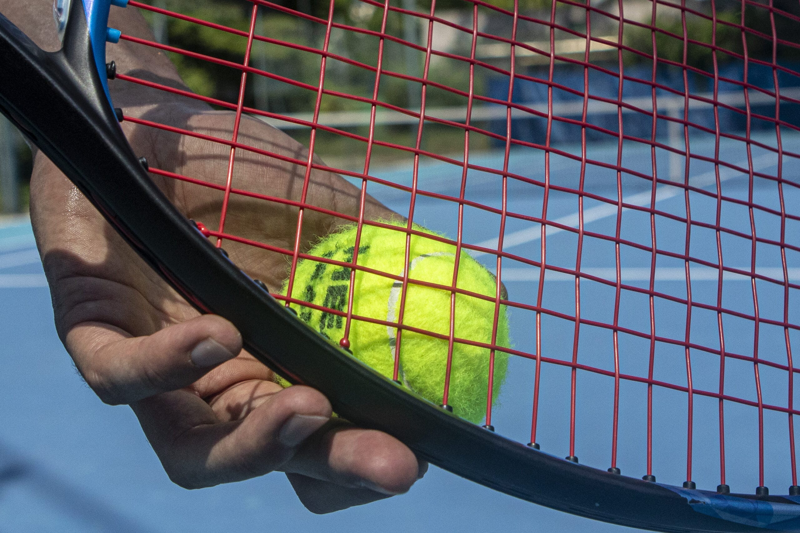 Partono le Atp Finals di Torino con Sinner protagonista-Foto da imagoeconomica