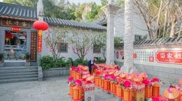 Pioggia di denaro per 3 segni zodiacali cinesi durante questa settimana
