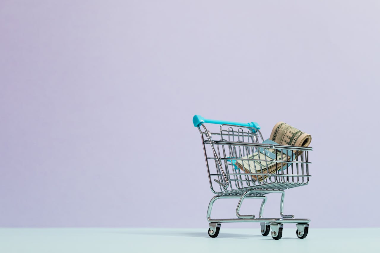 Quanto spende ogni mese un italiano single secondo l'ISTAT
