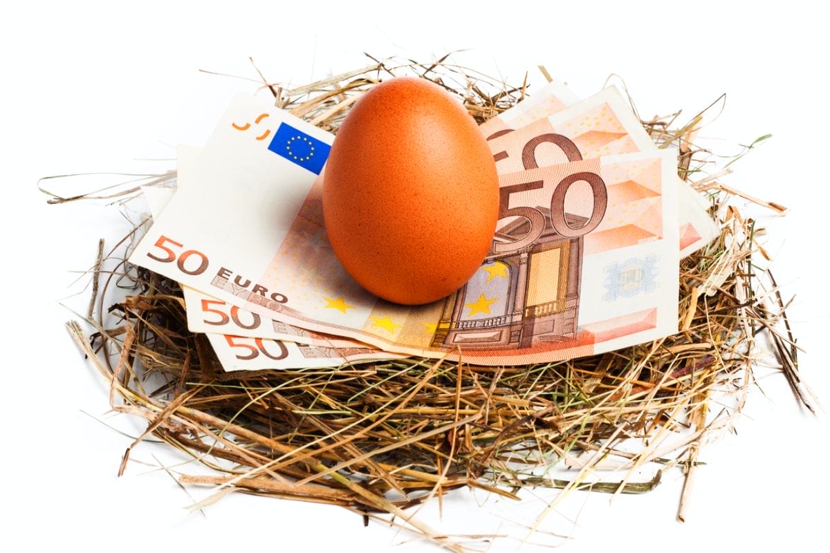 Aumenta il prezzo delle Uova: cosa sta succedendo nei Mercati delle commodities agro alimentari? Previsioni per il 2025