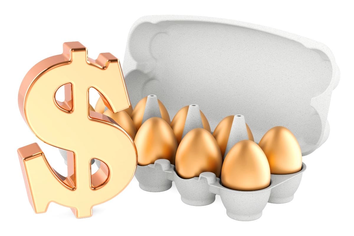 La vera febbre dell'aviaria... &egrave; quella speculativa